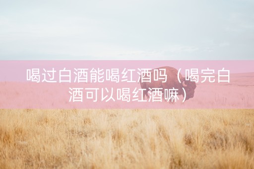 喝过白酒能喝红酒吗（喝完白酒可以喝红酒嘛）