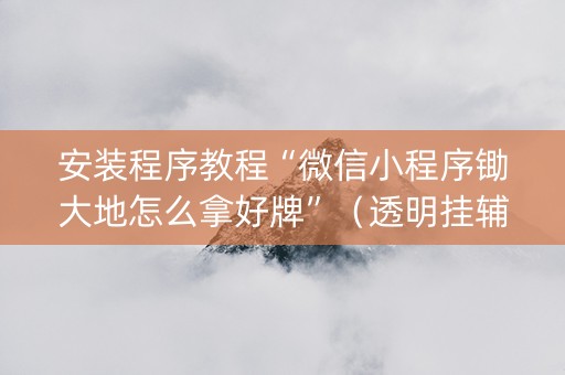 安装程序教程“微信小程序锄大地怎么拿好牌”（透明挂辅助器)