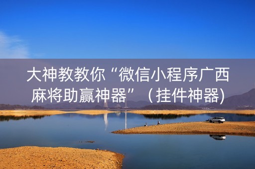 大神教教你“微信小程序广西麻将助赢神器”（挂件神器)