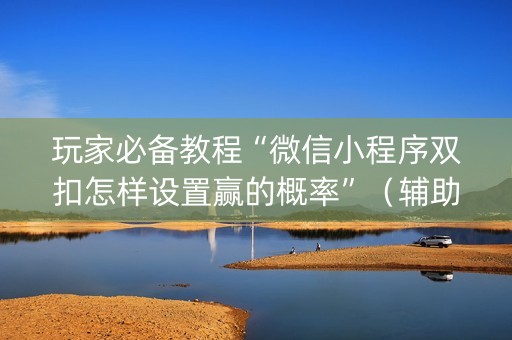玩家必备教程“微信小程序双扣怎样设置赢的概率”（辅助软件)