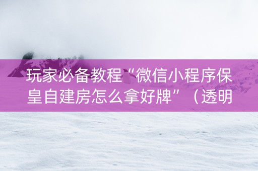 玩家必备教程“微信小程序保皇自建房怎么拿好牌”（透明挂辅助器)