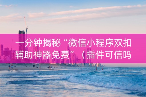 一分钟揭秘“微信小程序双扣辅助神器免费”（插件可信吗)
