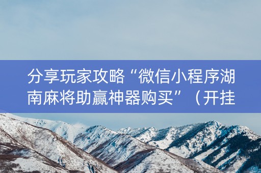 分享玩家攻略“微信小程序湖南麻将助赢神器购买”（开挂神器下载)