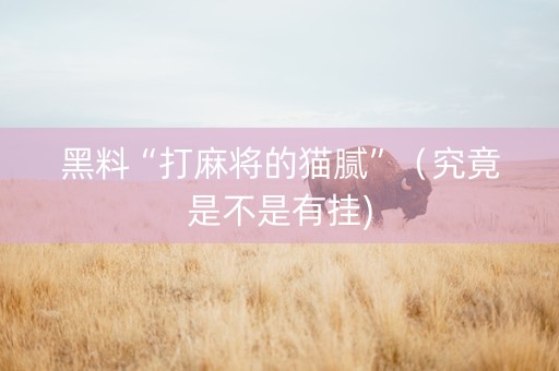黑料“打麻将的猫腻”（究竟是不是有挂)