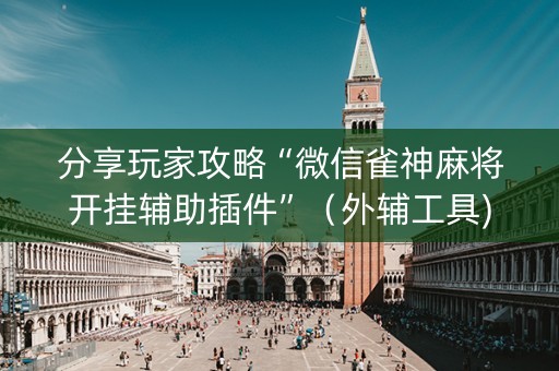 分享玩家攻略“微信雀神麻将开挂辅助插件”（外辅工具)