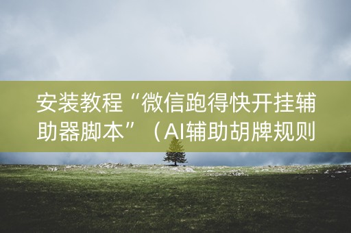 安装教程“微信跑得快开挂辅助器脚本”（AI辅助胡牌规则)