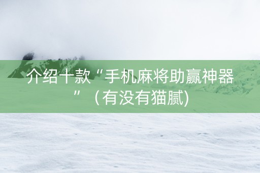 介绍十款“手机麻将助赢神器”（有没有猫腻)