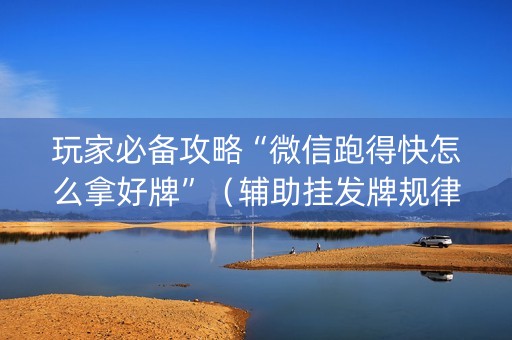玩家必备攻略“微信跑得快怎么拿好牌”（辅助挂发牌规律)