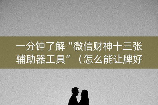 一分钟了解“微信财神十三张辅助器工具”（怎么能让牌好一点)