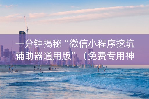 一分钟揭秘“微信小程序挖坑辅助器通用版”（免费专用神器)