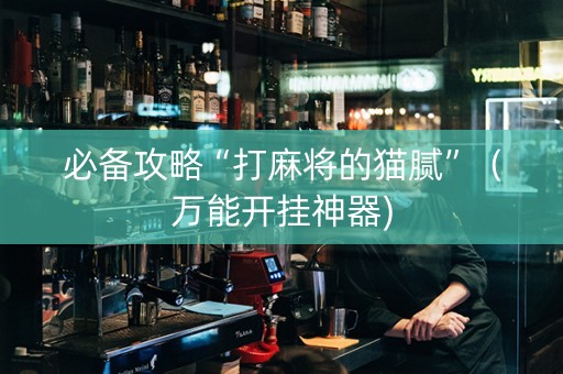 必备攻略“打麻将的猫腻”（万能开挂神器)