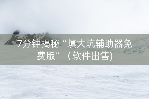 7分钟揭秘“填大坑辅助器免费版”（软件出售)