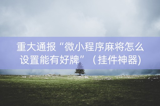 重大通报“微小程序麻将怎么设置能有好牌”（挂件神器)