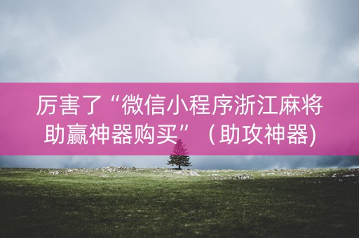 厉害了“微信小程序浙江麻将助赢神器购买”（助攻神器)