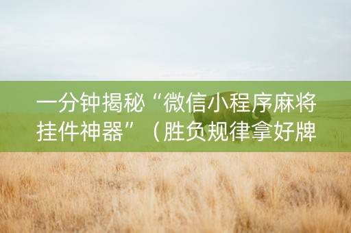 一分钟揭秘“微信小程序麻将挂件神器”（胜负规律拿好牌)
