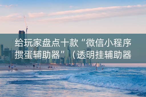 给玩家盘点十款“微信小程序掼蛋辅助器”（透明挂辅助器)