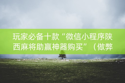 玩家必备十款“微信小程序陕西麻将助赢神器购买”（做弊器软件下载)