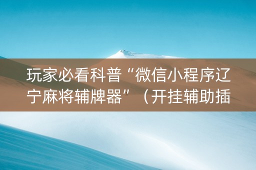 玩家必看科普“微信小程序辽宁麻将辅牌器”（开挂辅助插件)