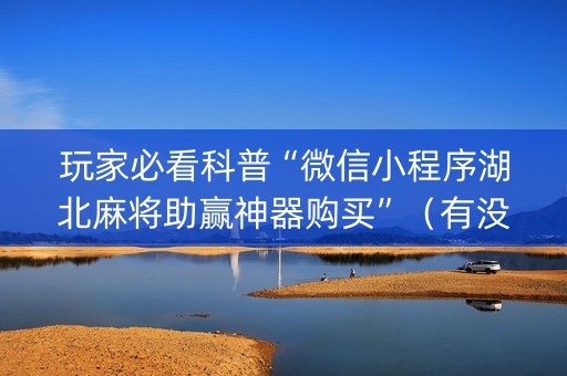 玩家必看科普“微信小程序湖北麻将助赢神器购买”（有没有猫腻)