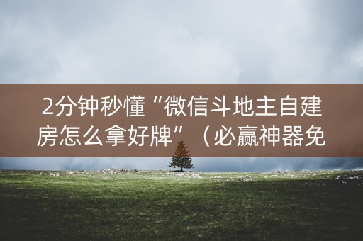 2分钟秒懂“微信斗地主自建房怎么拿好牌”（必赢神器免费安装)