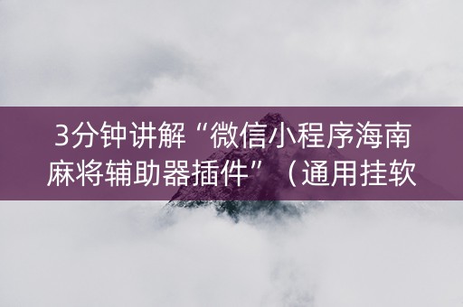 3分钟讲解“微信小程序海南麻将辅助器插件”（通用挂软件多少钱)