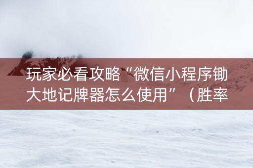 玩家必看攻略“微信小程序锄大地记牌器怎么使用”（胜率到哪调)