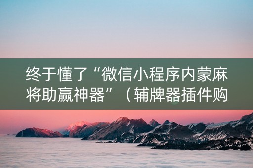 终于懂了“微信小程序内蒙麻将助赢神器”（辅牌器插件购买)
