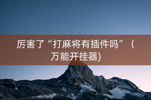 厉害了“打麻将有插件吗”（万能开挂器)