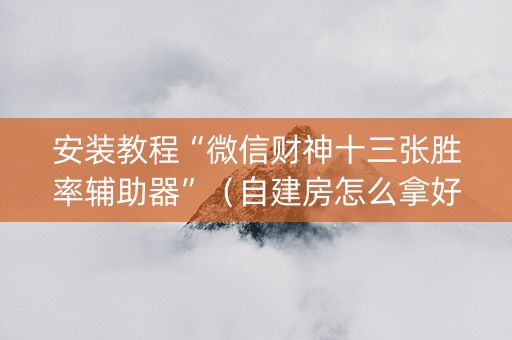 安装教程“微信财神十三张胜率辅助器”（自建房怎么拿好牌)