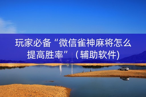 玩家必备“微信雀神麻将怎么提高胜率”（辅助软件)