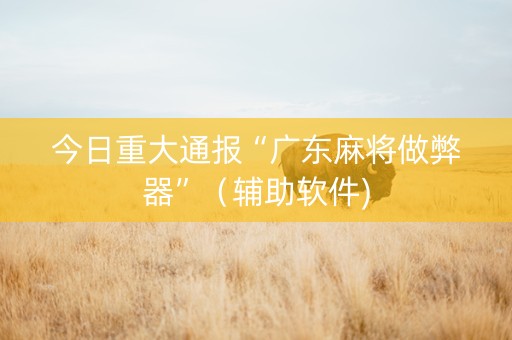 今日重大通报“广东麻将做弊器”（辅助软件)