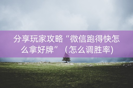分享玩家攻略“微信跑得快怎么拿好牌”（怎么调胜率)