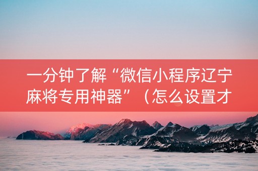 一分钟了解“微信小程序辽宁麻将专用神器”（怎么设置才能赢)