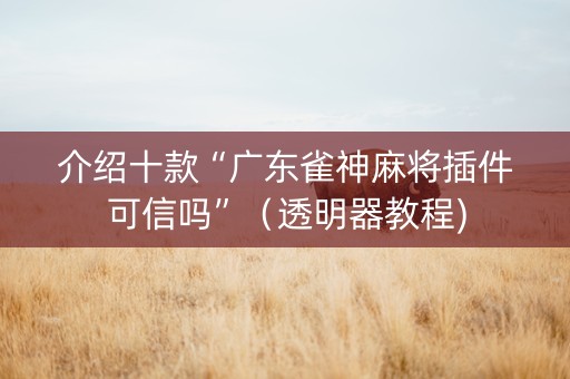 介绍十款“广东雀神麻将插件可信吗”（透明器教程)