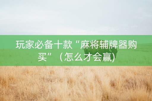 玩家必备十款“麻将辅牌器购买”（怎么才会赢)
