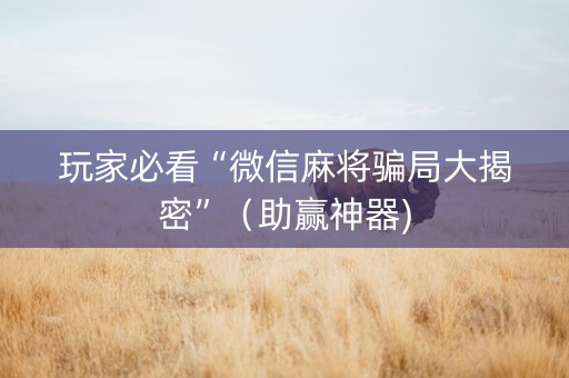 玩家必看“微信麻将骗局大揭密”（助赢神器)