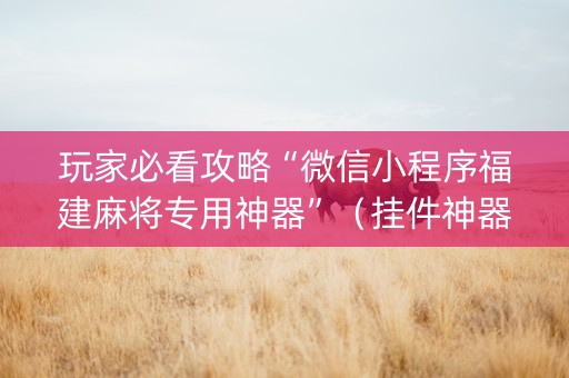 玩家必看攻略“微信小程序福建麻将专用神器”（挂件神器)