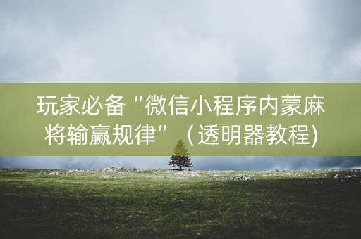 玩家必备“微信小程序内蒙麻将输赢规律”（透明器教程)
