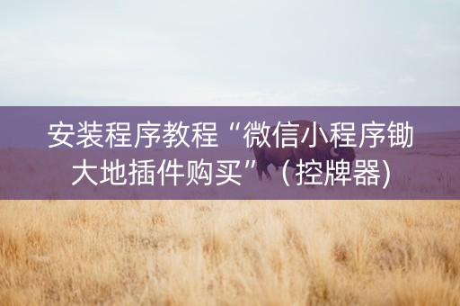 安装程序教程“微信小程序锄大地插件购买”（控牌器)