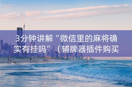 3分钟讲解“微信里的麻将确实有挂吗”（辅牌器插件购买)
