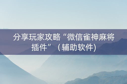 分享玩家攻略“微信雀神麻将插件”（辅助软件)