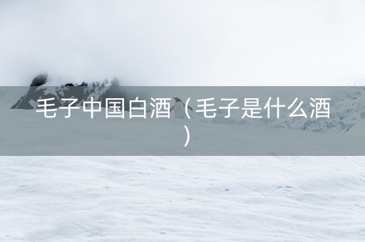 毛子中国白酒（毛子是什么酒）