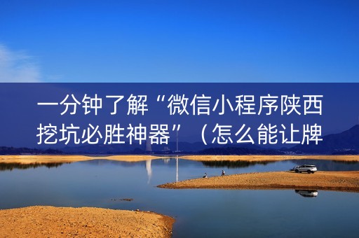 一分钟了解“微信小程序陕西挖坑必胜神器”（怎么能让牌好一点)