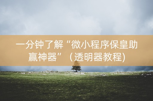 一分钟了解“微小程序保皇助赢神器”（透明器教程)
