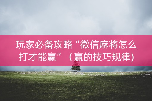 玩家必备攻略“微信麻将怎么打才能赢”（赢的技巧规律)