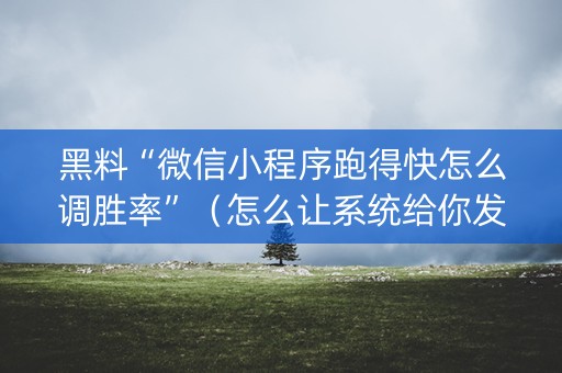 黑料“微信小程序跑得快怎么调胜率”（怎么让系统给你发好牌)