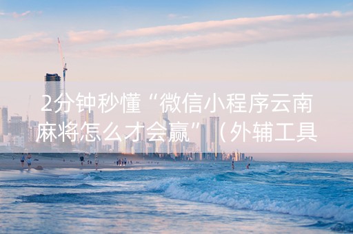 2分钟秒懂“微信小程序云南麻将怎么才会赢”（外辅工具)