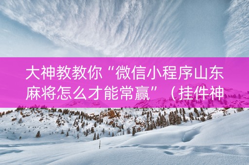 大神教教你“微信小程序山东麻将怎么才能常赢”（挂件神器)