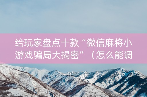 给玩家盘点十款“微信麻将小游戏骗局大揭密”（怎么能调好牌)