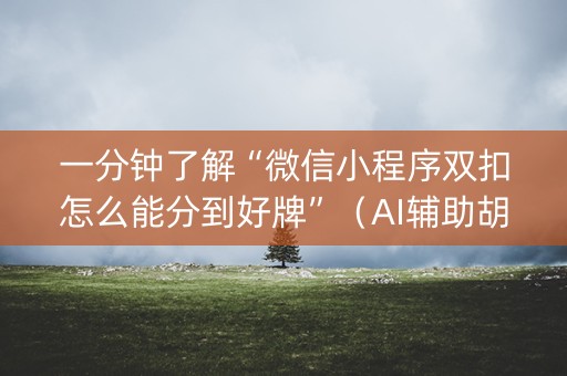 一分钟了解“微信小程序双扣怎么能分到好牌”（AI辅助胡牌规则)